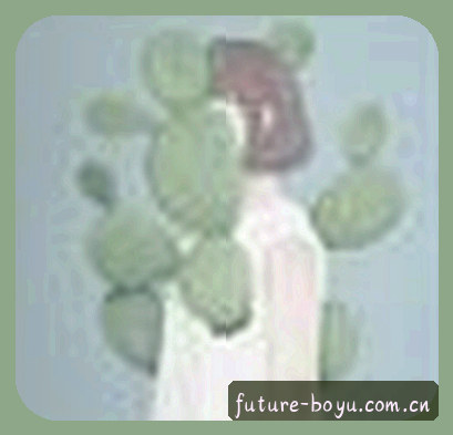 赵磊